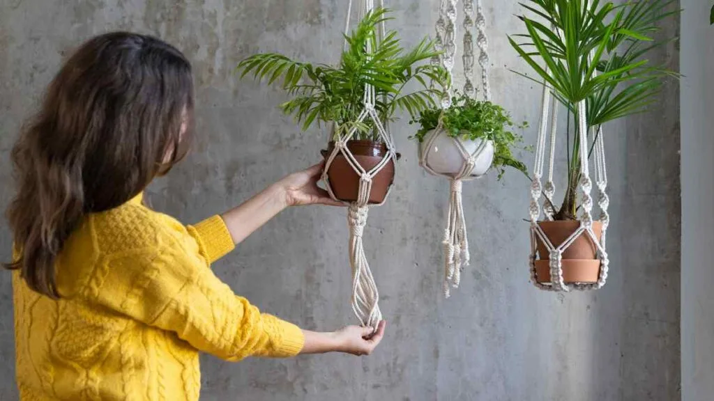 Mulher pendurando vasos de plantas em suportes de macramê numa parede