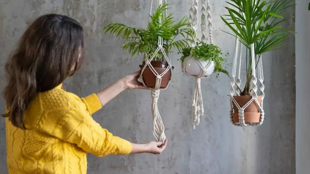 Mulher pendurando vasos de plantas em suportes de macramê numa parede