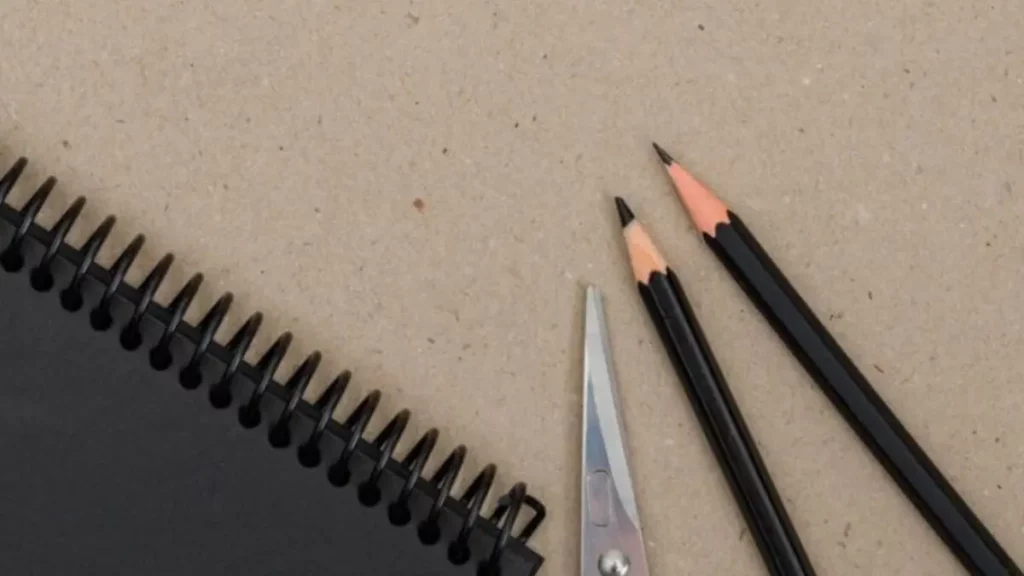 Lápis preto ou lapiseira