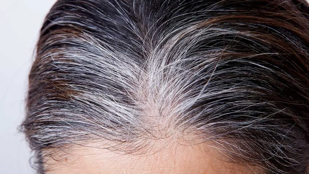 5 maneiras de disfarçar os cabelos brancos com e sem tintura cabelos brancos