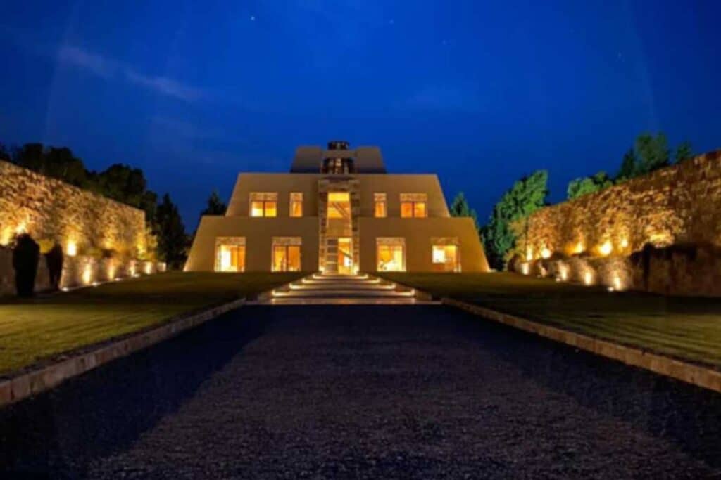Vinhos Premium Argentinos em Destaque: Um Guia Rápido sobre Angelica Zapata, El Enemigo Malbec e Luigi Bosca