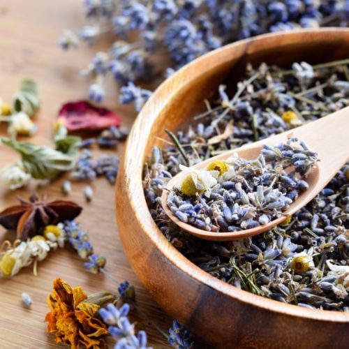 Compre Ervas na Loja WeMystic!