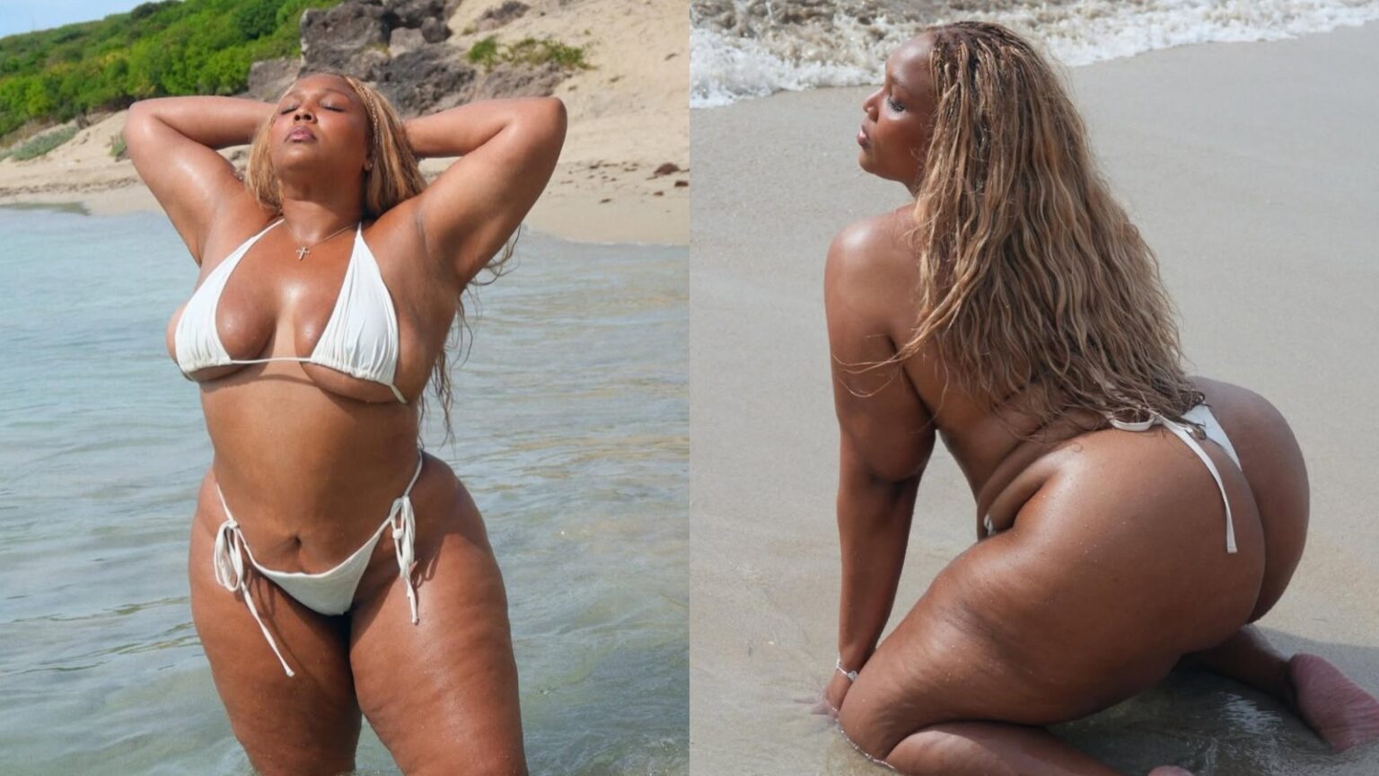 Lizzo celebra 38 anos com topless e recebe elogios