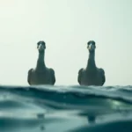 As criaturas marinhas mais temidas pelos navegantes gregos