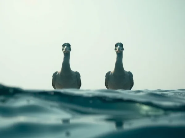As criaturas marinhas mais temidas pelos navegantes gregos