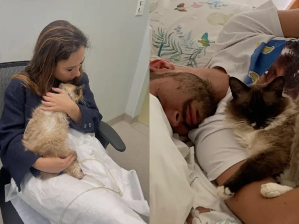 Tata Werneck desabafa sobre perda de gato e anuncia adoção de novo felino