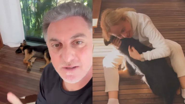 Angélica volta de retiro e é recebida por Huck e cachorro