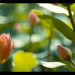Os lotófagos e a planta que fazia os marinheiros esquecerem tudo