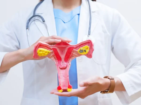 Menopausa: ovário ganha nova função imunológica, diz estudo