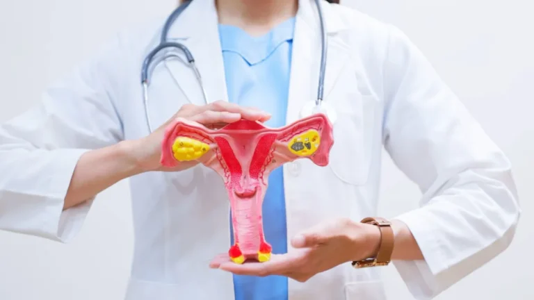 Menopausa: ovário ganha nova função imunológica, diz estudo